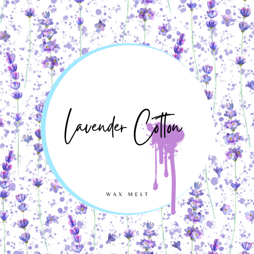 Lavender Cotton